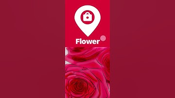 Flower　UIデザインで作ってみた