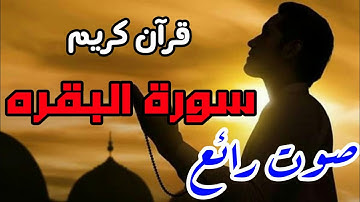 قرآن كريم - سورة البقره - صوت جميل جداً ومؤثر | نور الدين