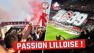 Les chants du LOSC / ULTRAS DVE (Dogues Virage Est) / DERBY Lille-Lens