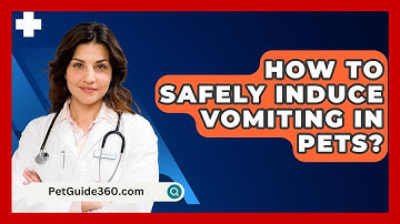 How To Safely Induce Vomiting In Pets? - PetGuide360.com