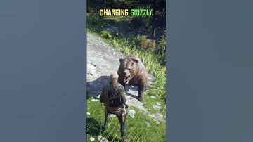 RDR2 - 5 interesting things that many players miss while exploring #rdr2 #gaming #arthurmorgan #rdo