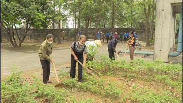 Hưởng ứng Tuần lễ Quốc gia Nước sạch và vệ sinh môi trường năm 2022