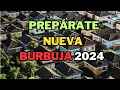 ¡SE VA A LIAR! VAN A PROVOCAR UNA BURBUJA INMOBILIARIA EN ESPAÑA MUY PRONTO