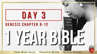 Day 3 | Genesis 9-12 | 1-Year Bible Reading Plan | Peaceful Scripture Audio Bible