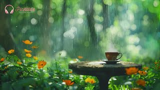 Rest in a Spring Rain Forest, with a Cup of Coffee and Peaceful Piano Music