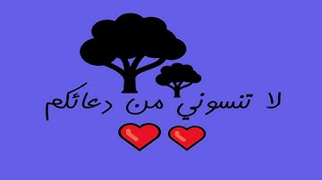 ما تيسر من سورة البقرة 2 فيصل الرشود المصحف المرتل 97 مادة