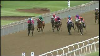 Vidéo de la course PMU PRIX DOWNLOAD THE TABGOLD INFORMATION APP MAIDEN PLATE