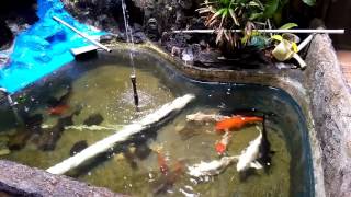 Air mancur kolam ikan