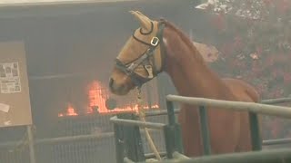 More from inside edition:
https://www./user/cbstvdinsideedition?sub_confirmation=1 as wildfires
rage in california, residents evacuated their home...