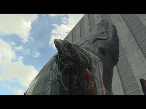 Una imponente ballena emerge en el patio de la ONU para defender los océanos