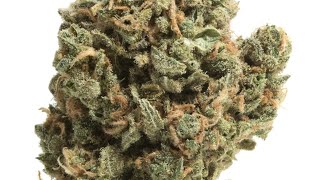 " Confetti Cake: Deli-Style Floral Delight. One of the best strains for mental health.@MentalFloss ￼