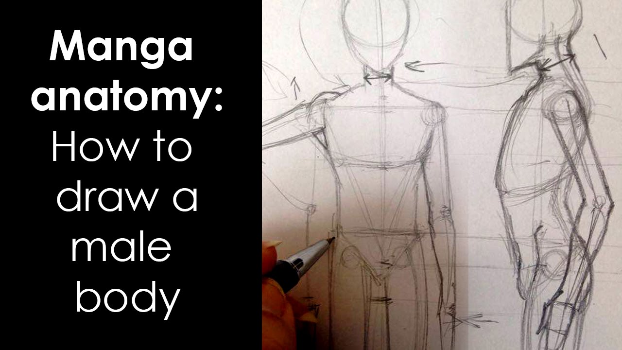 Manga anatomy : How To Draw Male Body FULL LESSON - YouTube