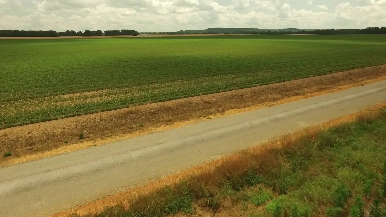 Crops of Town Creek, Alabama YouTube