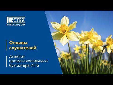 Видео: Отзыв выпускницы программы Аттестат профбухгалтера ИПБ – Данилова Юлия