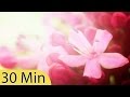 30 Minute Deep Sleep Music, Meditation, Calm Music, Sleep Therapy, Relax, Study, Spa, Sleep, ☯160B