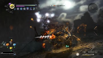 Ninja feather build nioh 2