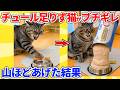 【2ch動物スレ】チュールが足りなくて猫が発狂してたから、山ほどあげた結果wwwww
