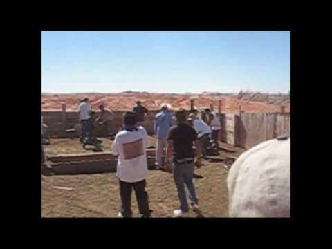 Navajo Lutheran Mission: 2009 Livestock Vaccinatio...