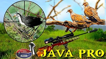 BERBURU RUAK - RUAK & TEKUKUR | hanya sebentar tapi bisa poin banyak