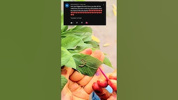 Comment your name 📛/#name #calligraphy #new #mehndi #heena #trending #video #youtube #ytshorts