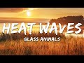 Glass Animals Heat Waves Lyrics Glass Animals Heat Waves Lyrics