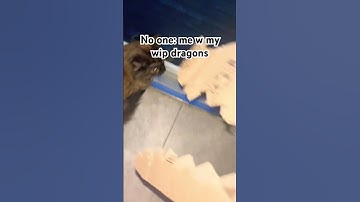 Too lazy to put hashtags and a title