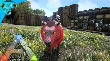 ARK Survival Evolved  - Annunaki Genesis - Alpha Direwolf and Speedy Primordius! Modded S2E39