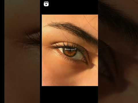 Obsessed With Brown Eyes Obsesionada Con Los Ojos Marrones