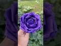 How To Make Rose From Paper Flower Making With Paper Purple Paper Rose Diy Shorts 