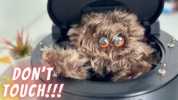 Beware !!! FURRY MONSTER INSIDE | Useless box