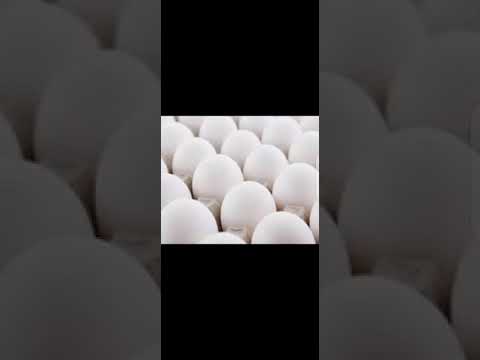 Vidéo: Comment Gagner De L'argent Avec Des œufs