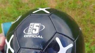 Belgian Malinois Vs Momax Brand New Soccer Ball