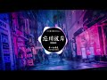 Vong Xuyên Bỉ Ngạn 忘川彼岸 - 零一九零贰 (DJ抖音 Remix) 【抖音热门歌曲】『我跨过忘川 也走过彼岸，期盼她 还能够回头看。』Hot Tiktok Douyin