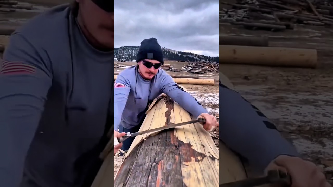 Techniques for removing bark from dry trees