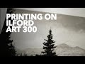 Darkroom Printing with Ilford MG Art 300 Paper