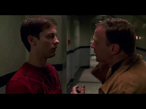 Spider-Man (2002) - I missed the part where that's my problem