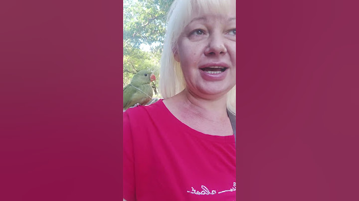 Как я приучаю попугая к уличному шуму.