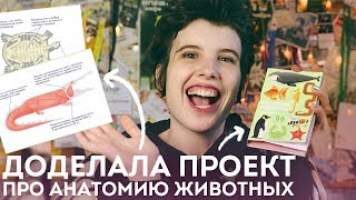 АНАТОМИЯ ЖИВОТНЫХ в картинках :) Поддержите проект на Boomstarter АНАТОМИЯ ЖИВОТНЫХ в картинках :) Поддержите проект на Boomstarter