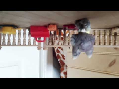 Lps morning  routine in quarantine