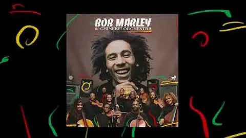 Satisfy My Soul  Bob Marley and The Chineke! Orchestra Visualizer