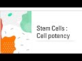 Stem cells || Types of stem cells || MSc || BSc || science workshop || By kusum