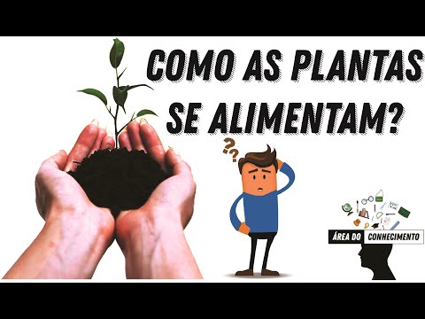 Vídeo: Como E O Que As Plantas Comem