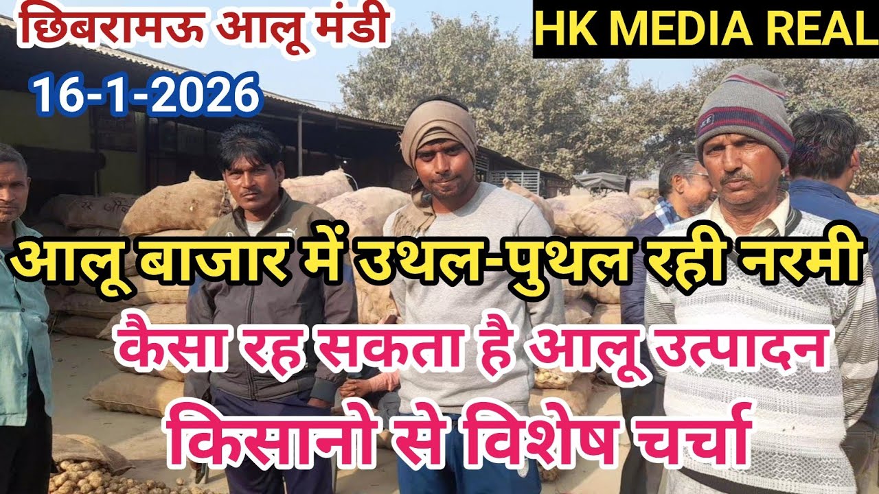 16-जनवरी-2026- आलू बाजार में उथल-पुथल बाजार मे नरमी, कैसा रह सकता है आलू उत्पादन किसानो से चर्चा 