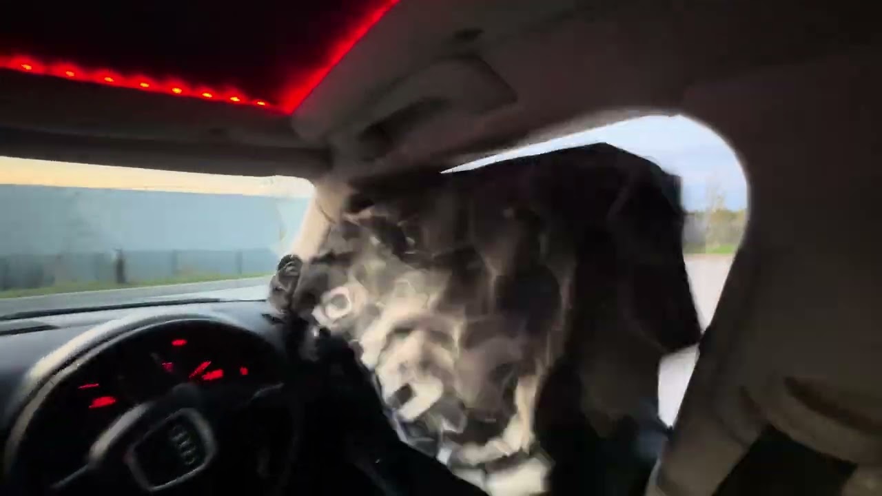 2 x Fi Car Audio NEO 4.11 18’ subwoofers on 30kw power