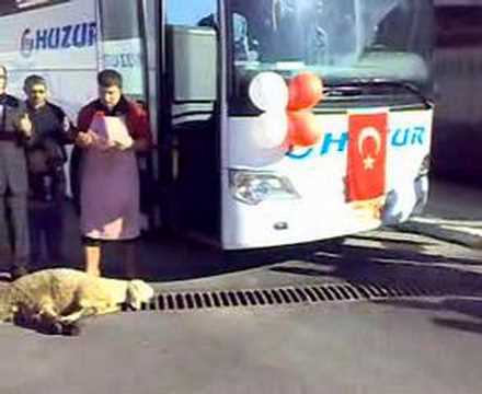 Oz Sivas Huzur Turizm Otobus Bileti