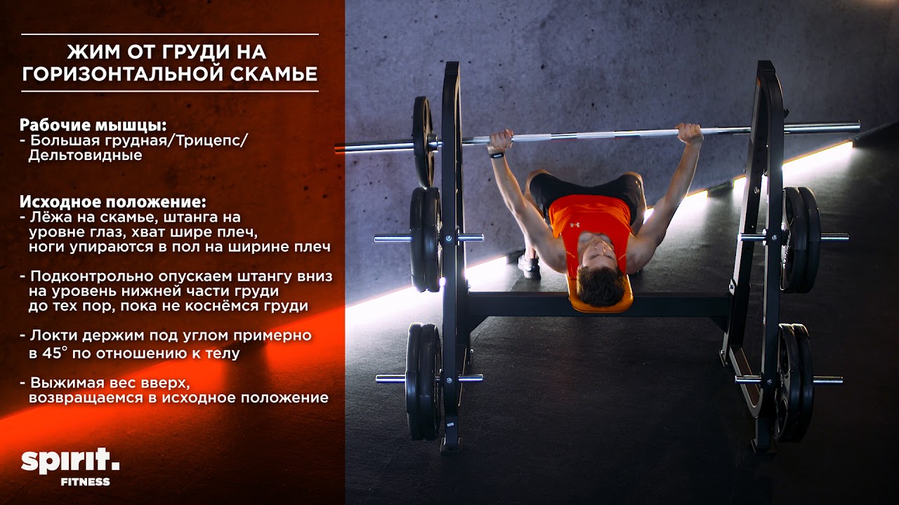 Жим от груди на горизонтальной скамье camera iphone 8 plus apk