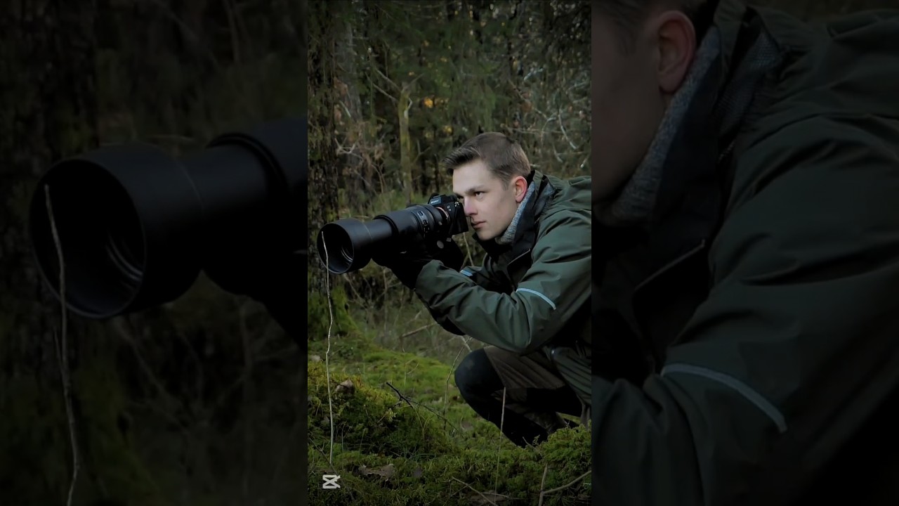 The highlight from my latest video 🌲🕊 