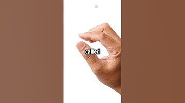 Asteroids, Meteoroids, and Comets  #space#asteroid #meteoroid #comet #factsaboutspaceandtheuniverse