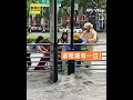 暴雨淹水奶奶坐輪椅險被沖走！2女秒衝上前拉住她結局超感動