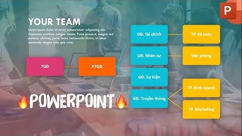 HƯỚNG DẪN THIẾT KẾ SƠ ĐỒ NHÂN SỰ CHUYÊN NGHIỆP TRONG THUYẾT TRÌNH POWERPOINT